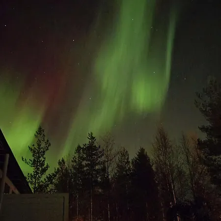 The Arctic Dream Apartment